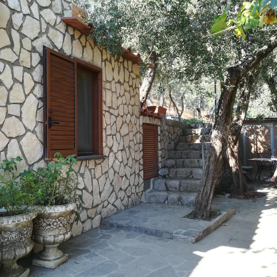 La Mandra, Cottage Tra Gli Ulivi ヴィーコ・エクエンセ エクステリア 写真